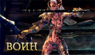 Гайд по воину TERA ONLINE